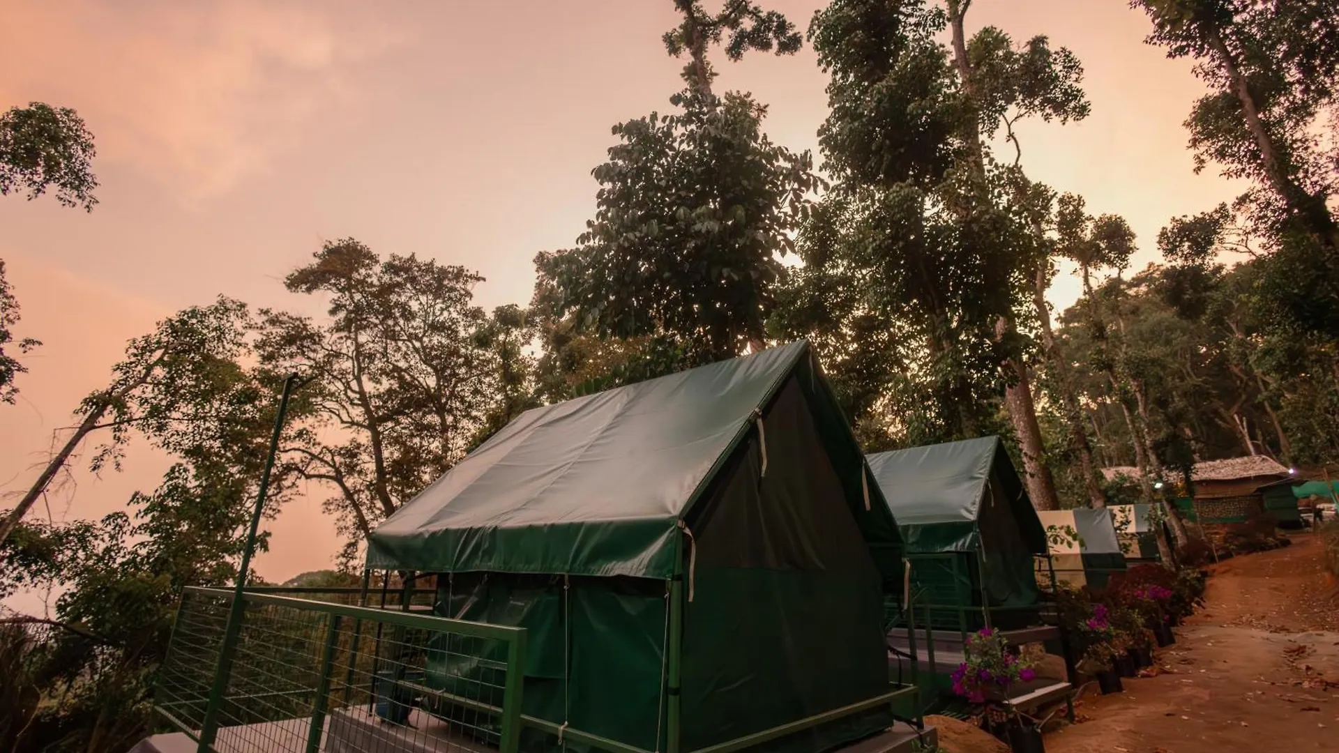 Wonderwoods Tent Camping Munnar Luxury tent